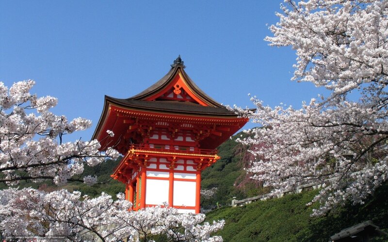 Cherry blossoms at Kiyomizu-dera