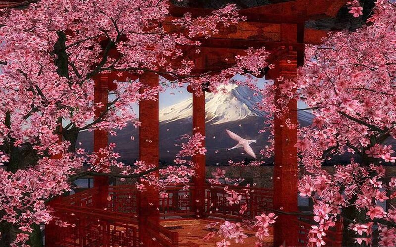 Cherry Blossoms at Pagoda — Pink