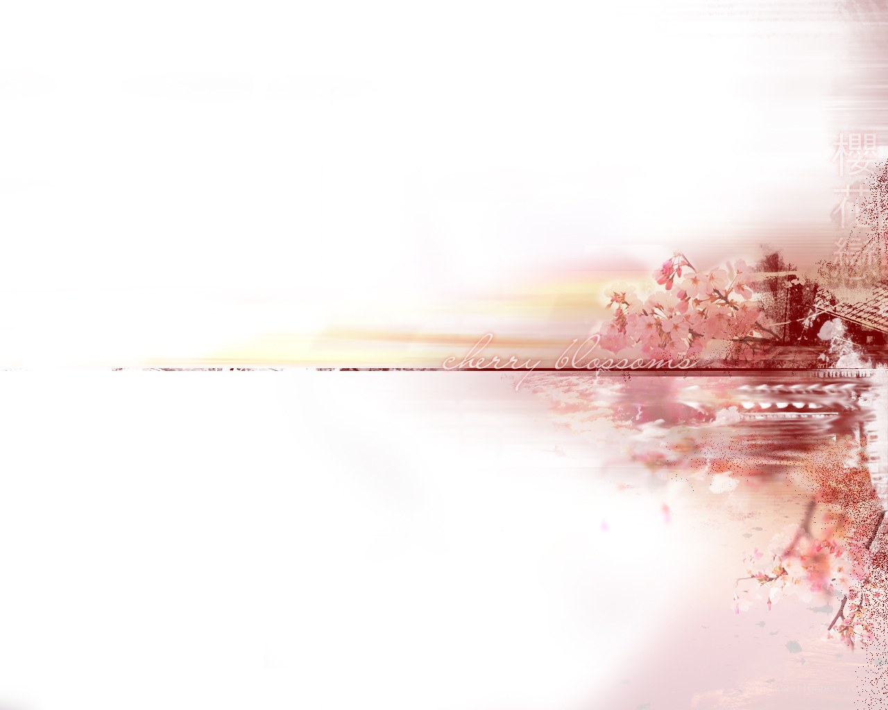 cherry blossoms at sunset
