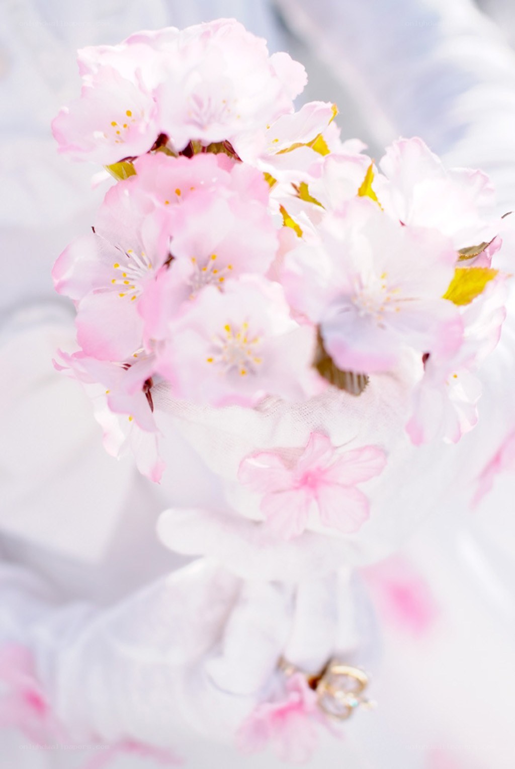 cherry blossoms bouquet
