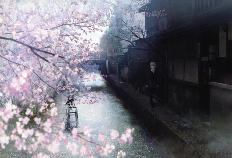 Cherry blossoms by the canal