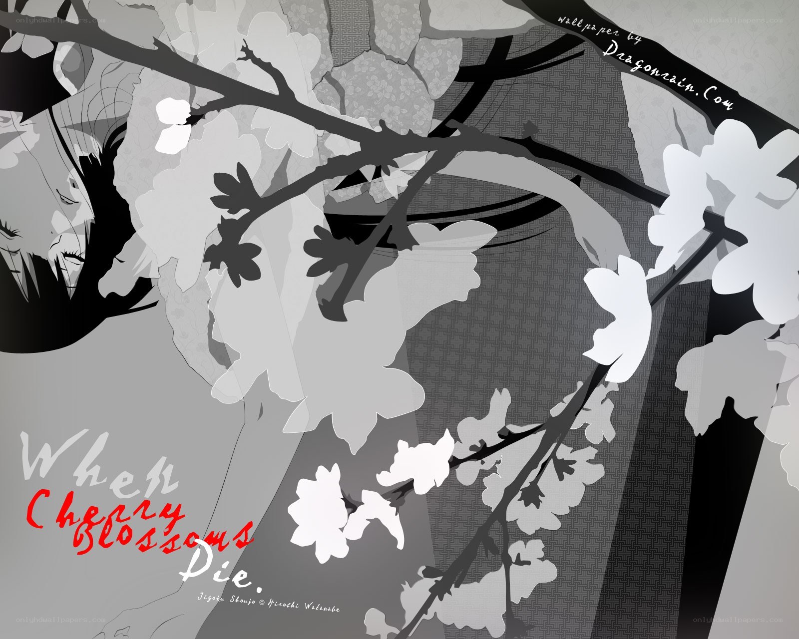 Cherry Blossoms Die