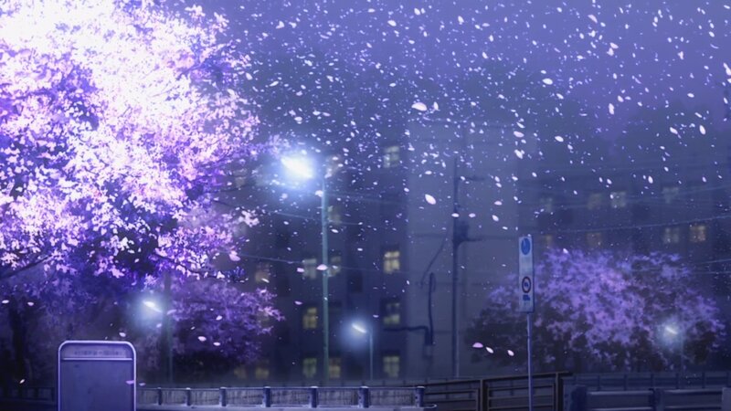 Cherry Blossoms Falling — Purple