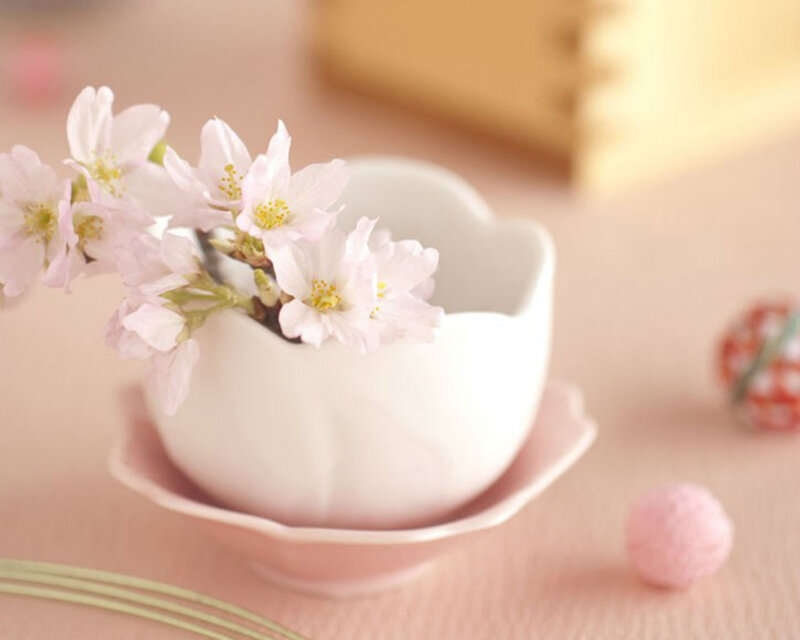 Cherry Blossoms in a Cup