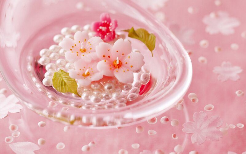Cherry blossoms in a glass bowl