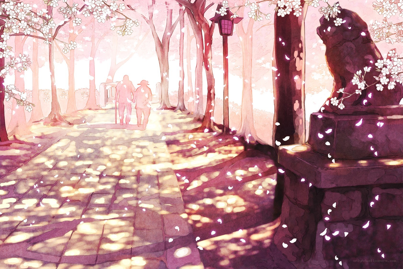 Cherry blossoms in a park