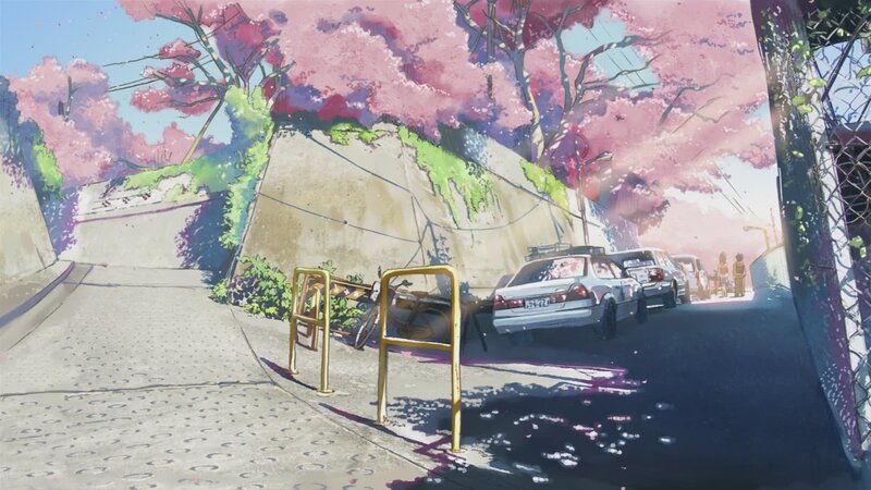 Cherry blossoms in a quiet alley