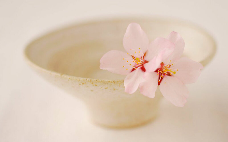 Cherry Blossoms in Bowl — Pink, Serene