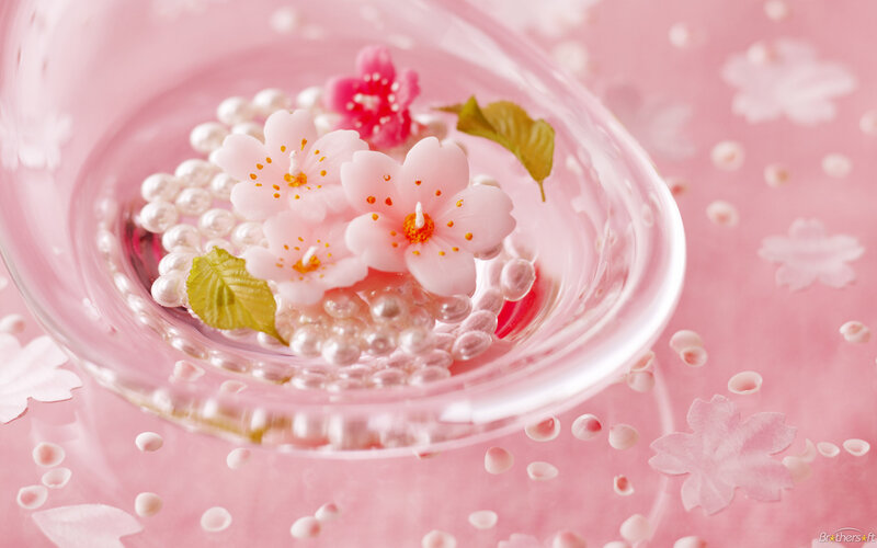 Cherry Blossoms in Bowl — Pink