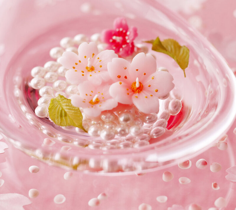 Cherry Blossoms in Bowl