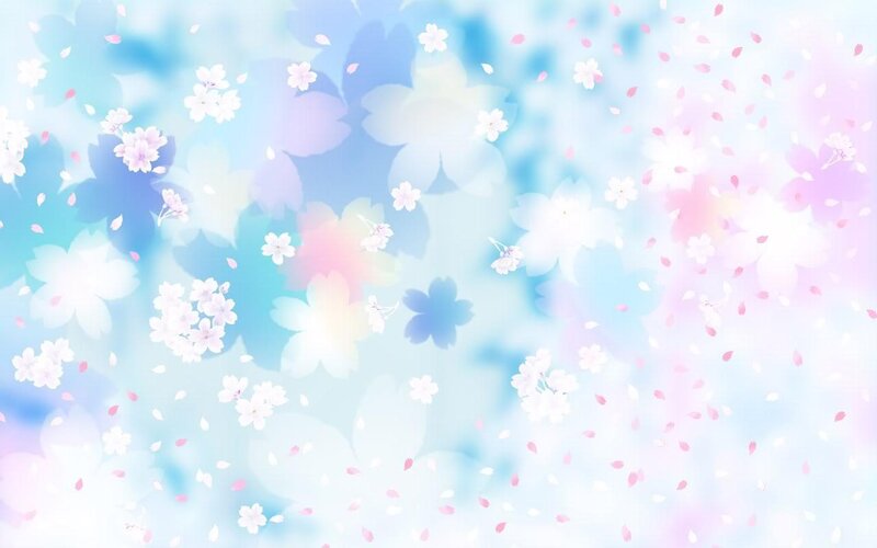 Cherry blossoms in soft light