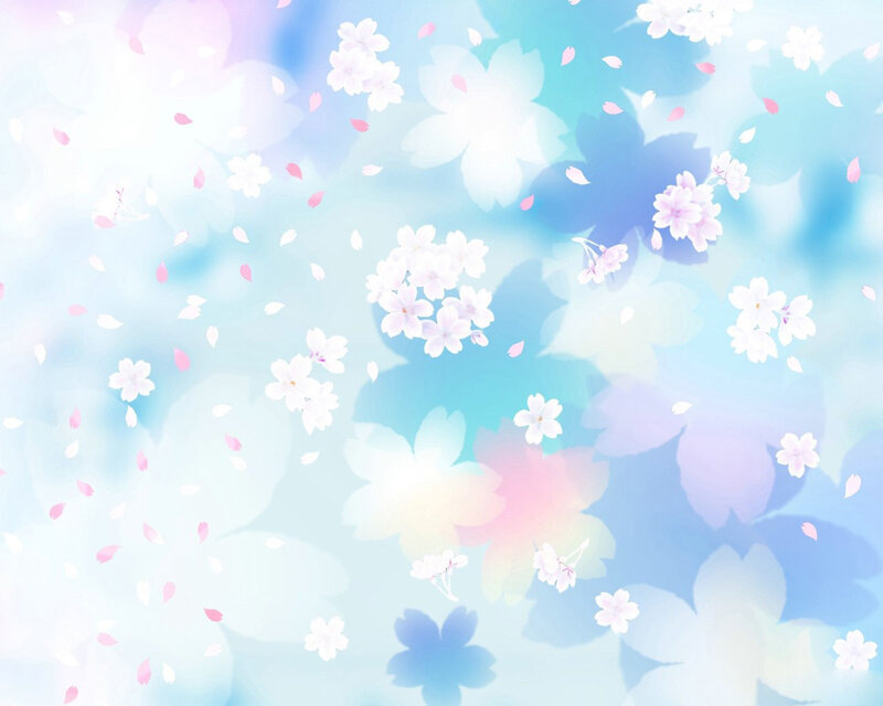 Cherry blossoms in soft light