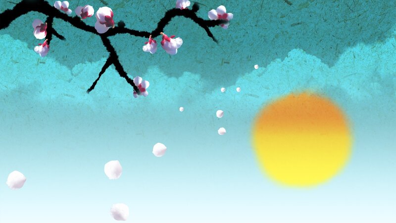 Cherry blossoms in spring