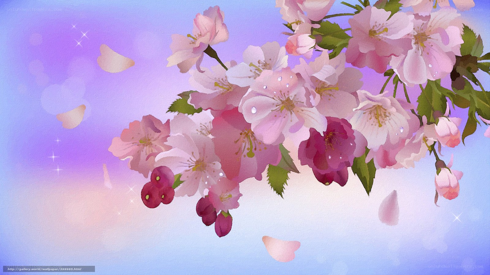 Cherry blossoms in spring