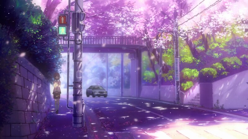 Cherry blossoms in the city