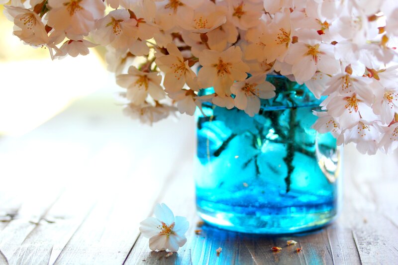 Cherry Blossoms in Vase — Blue