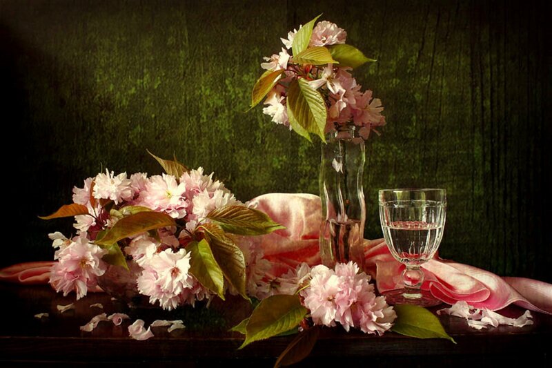 Cherry Blossoms in Vase — Pink
