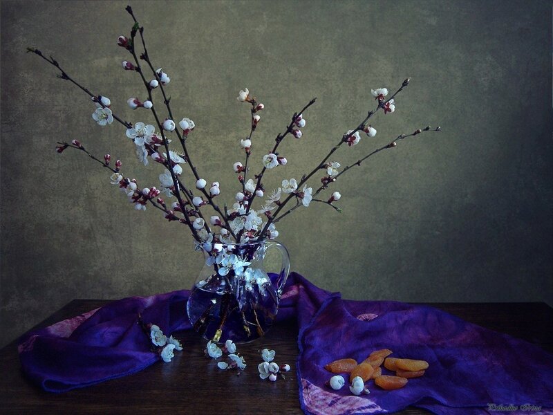Cherry Blossoms in Vase — Purple