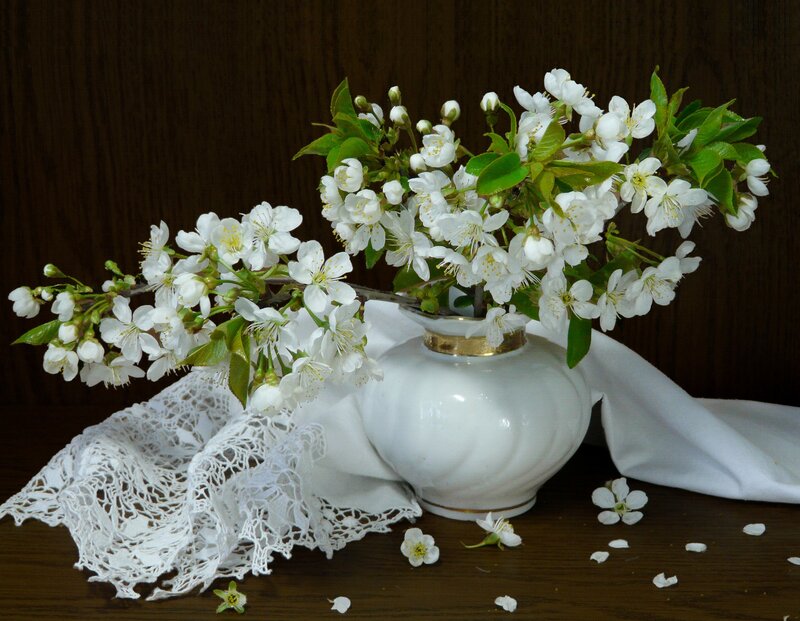 Cherry Blossoms in Vase — White
