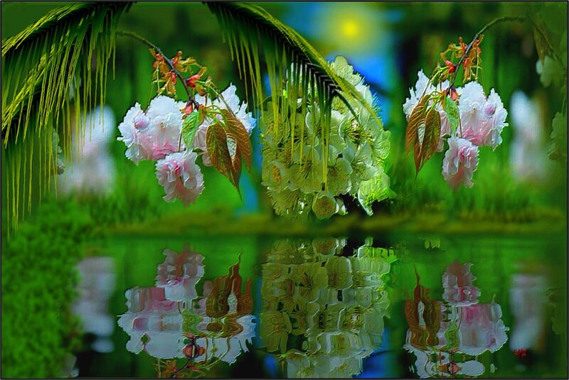 Cherry Blossoms in Water — Green