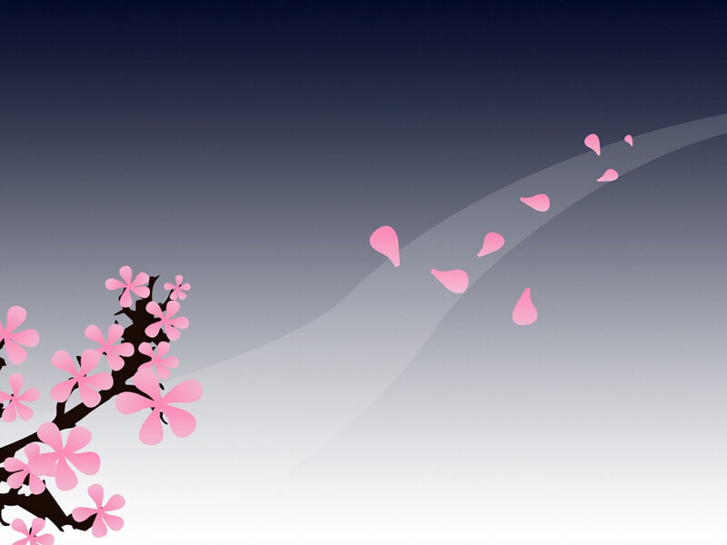 cherry blossoms in wind