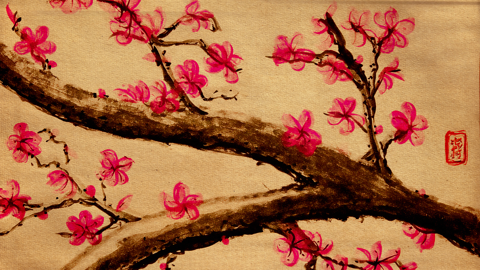 cherry blossoms on a branch
