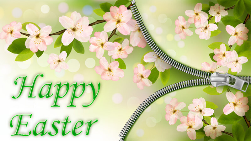 Cherry Blossoms on Branch — Green, Festive, Spring