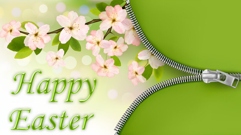 Cherry Blossoms on Branch — Green, Festive