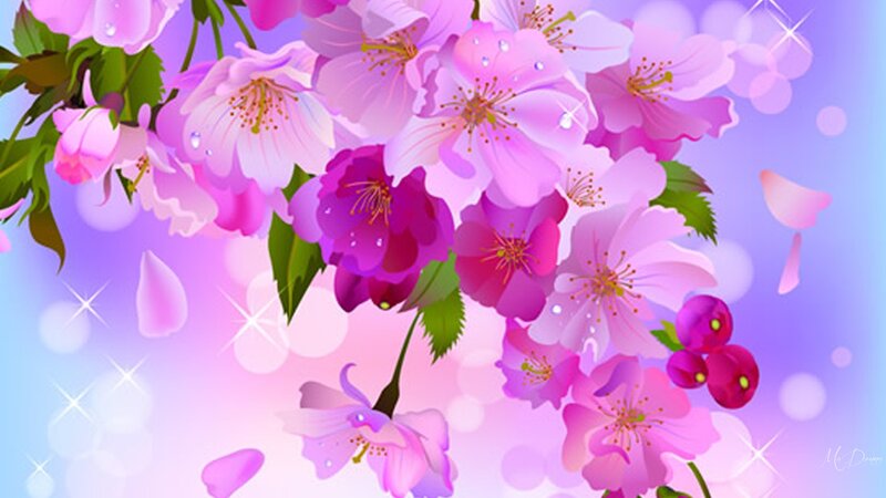 Cherry Blossoms on Branch — Pink, Dreamy, Spring