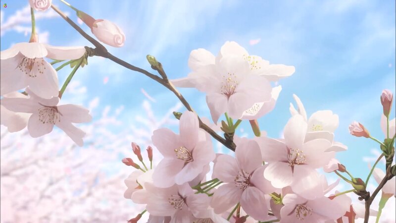 Cherry Blossoms on Branch — Pink, Serene, Spring, Anime, Sky
