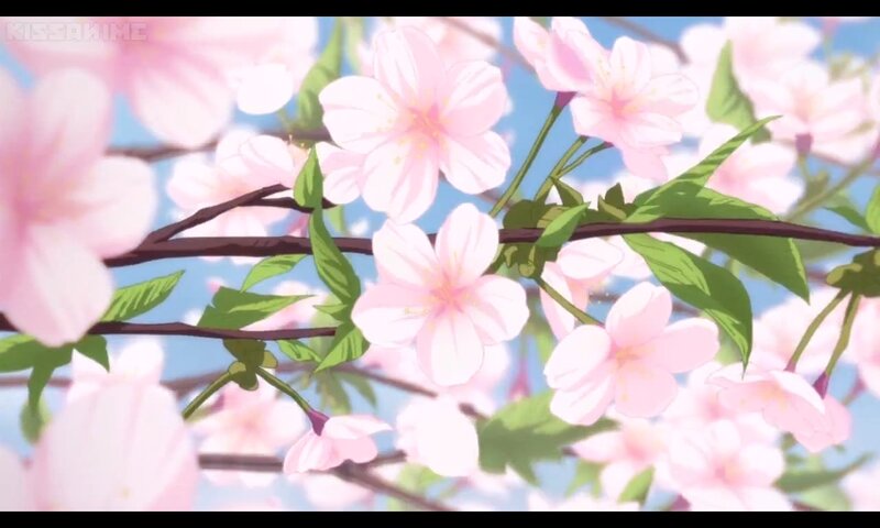 Cherry Blossoms on Branch — Pink, Serene, Spring, Anime