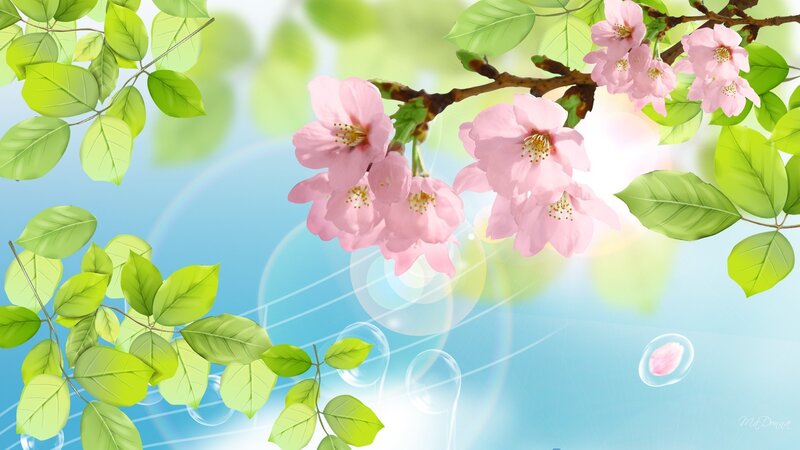 Cherry Blossoms on Branch — Pink, Serene, Spring, Digital Art