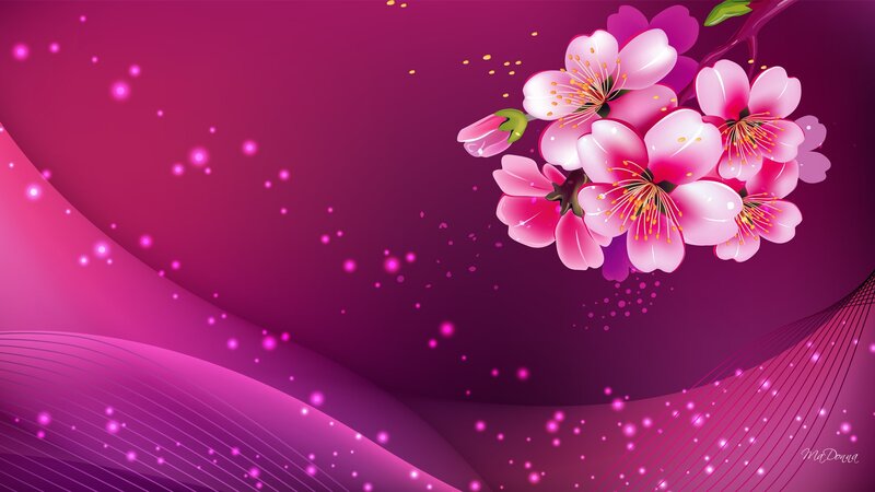 Cherry Blossoms on Branch — Purple