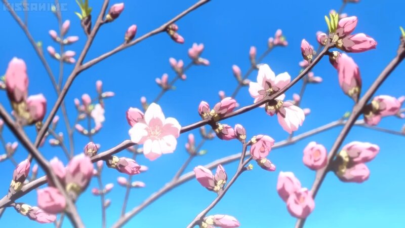 Cherry Blossoms on Branches — Blue, Serene, Spring, Anime