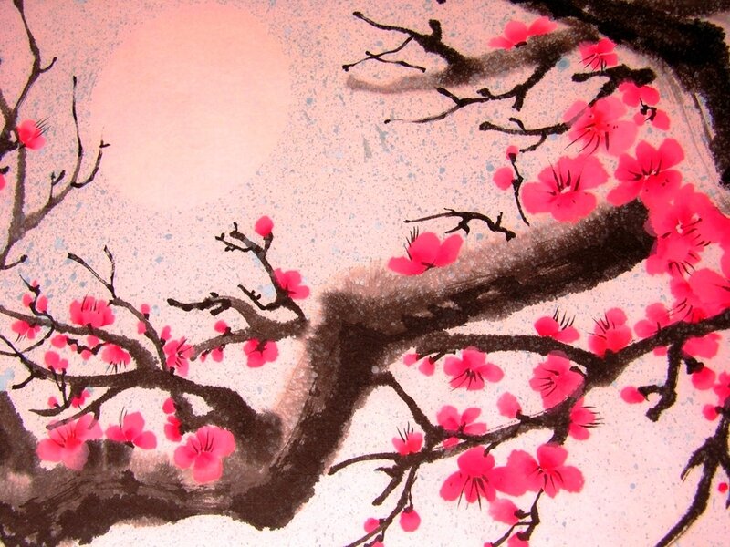 Cherry Blossoms on Branches