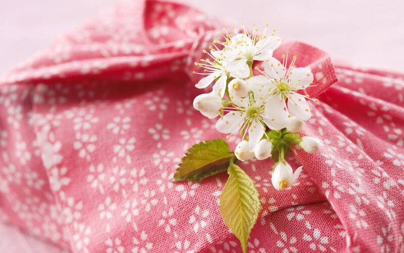 Cherry Blossoms on Fabric