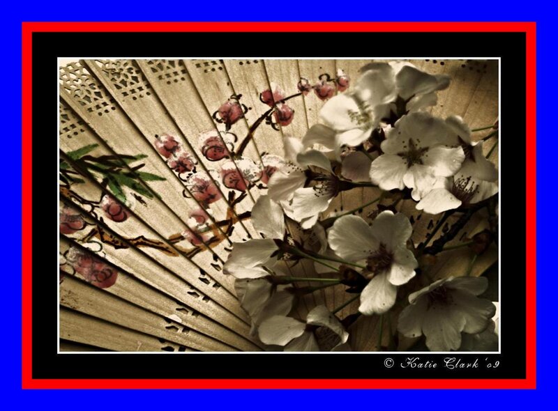 Cherry Blossoms on Fan