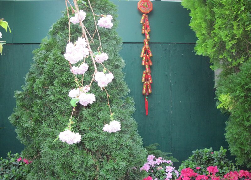 Cherry Blossoms on Tree — Green