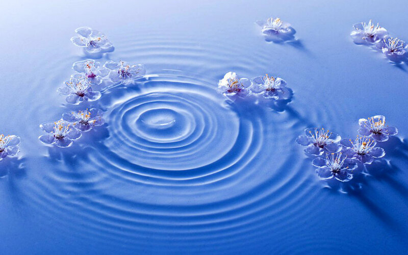 Cherry Blossoms on Water — Blue