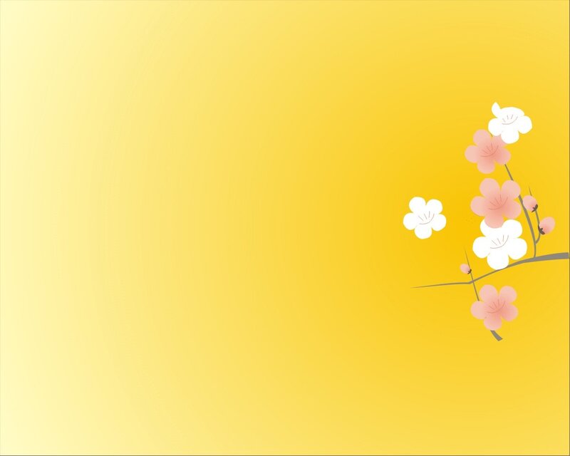 cherry blossoms on yellow