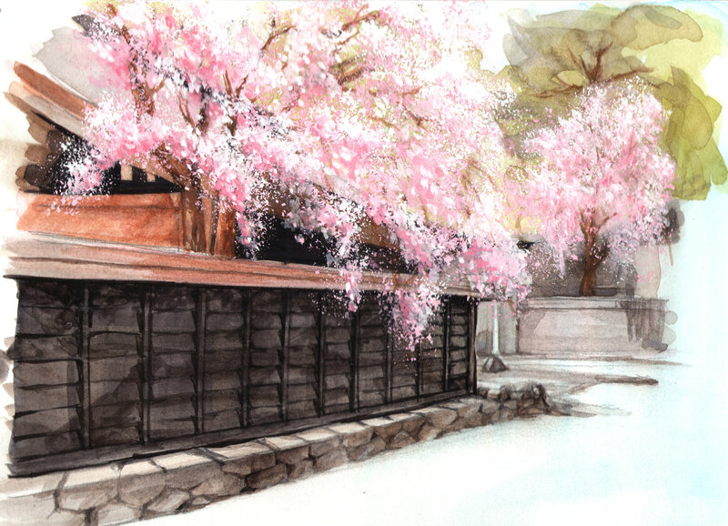 Cherry blossoms over a traditional wall