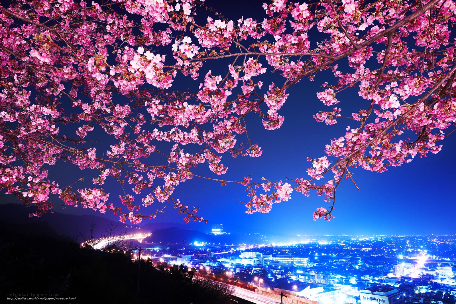 Cherry blossoms over city at night