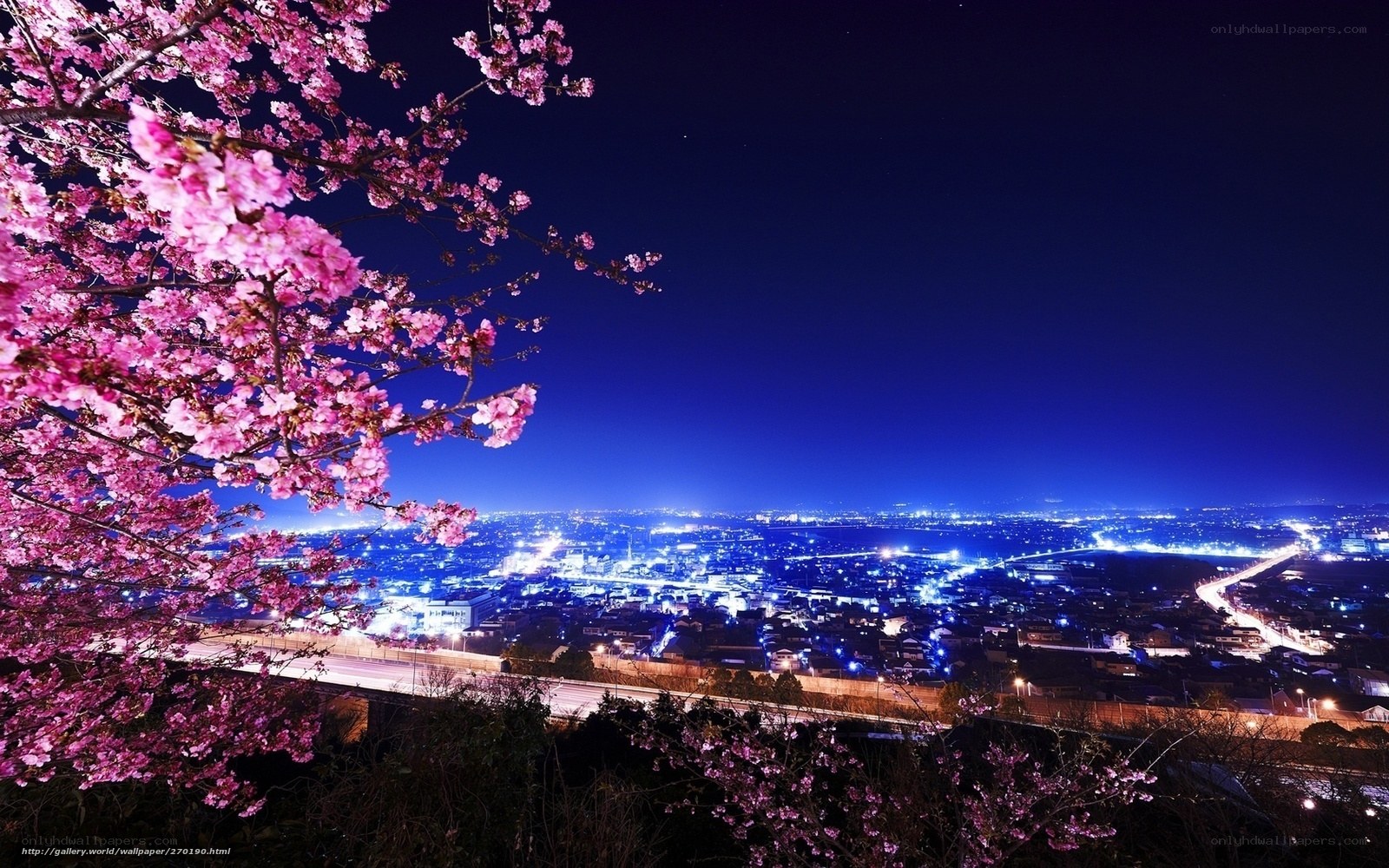 Cherry blossoms over city at night