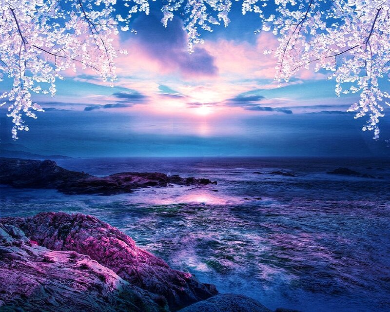 Cherry Blossoms over Ocean — Blue