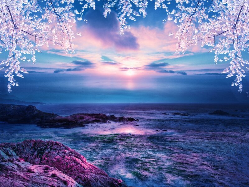 Cherry Blossoms over Ocean — Purple