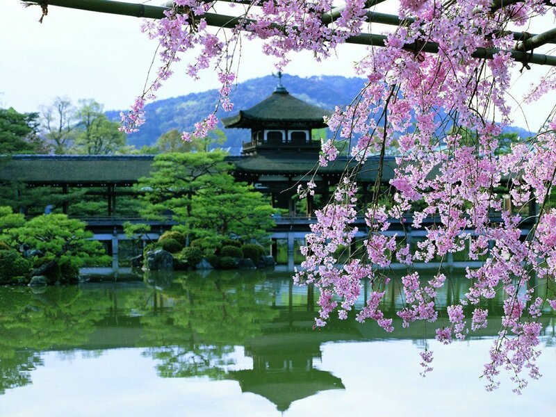 Cherry Blossoms over Pond — Pink, Serene, Spring, Photograph, Temple