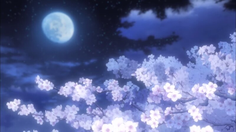 Cherry Blossoms under Moon — Blue, Serene