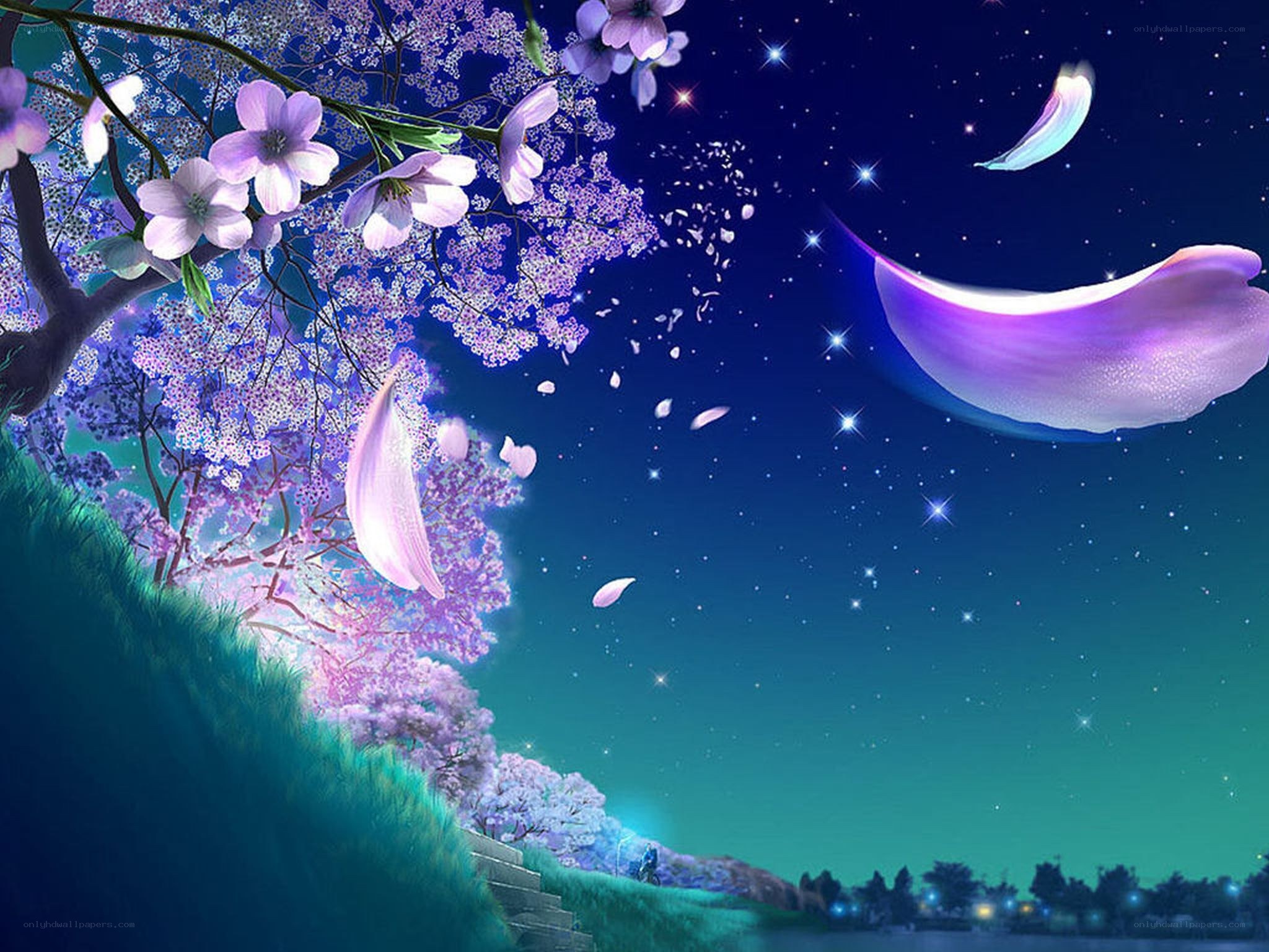 Cherry blossoms under starry sky