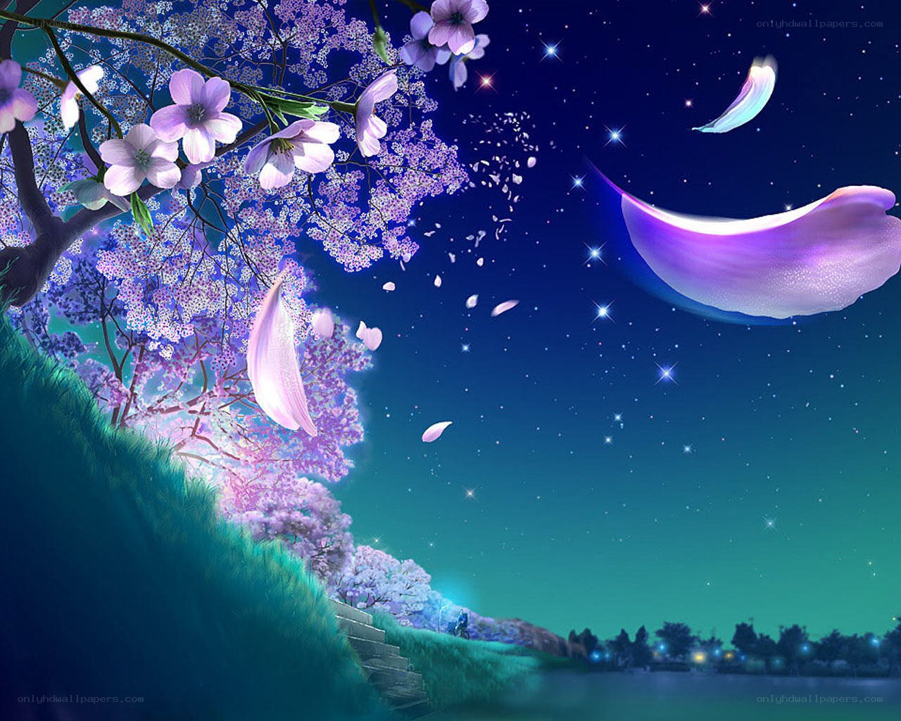 Cherry blossoms under starry sky