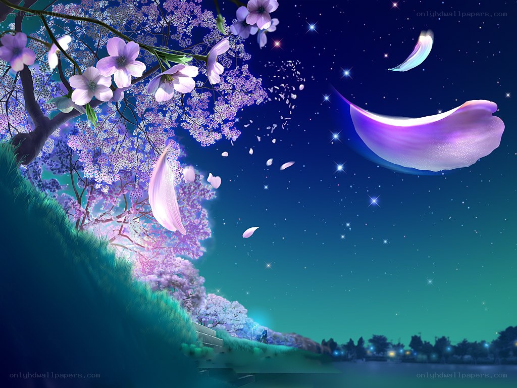 Cherry blossoms under starry sky